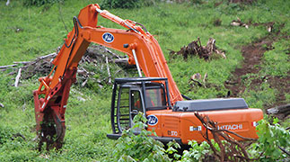 Land Clearing