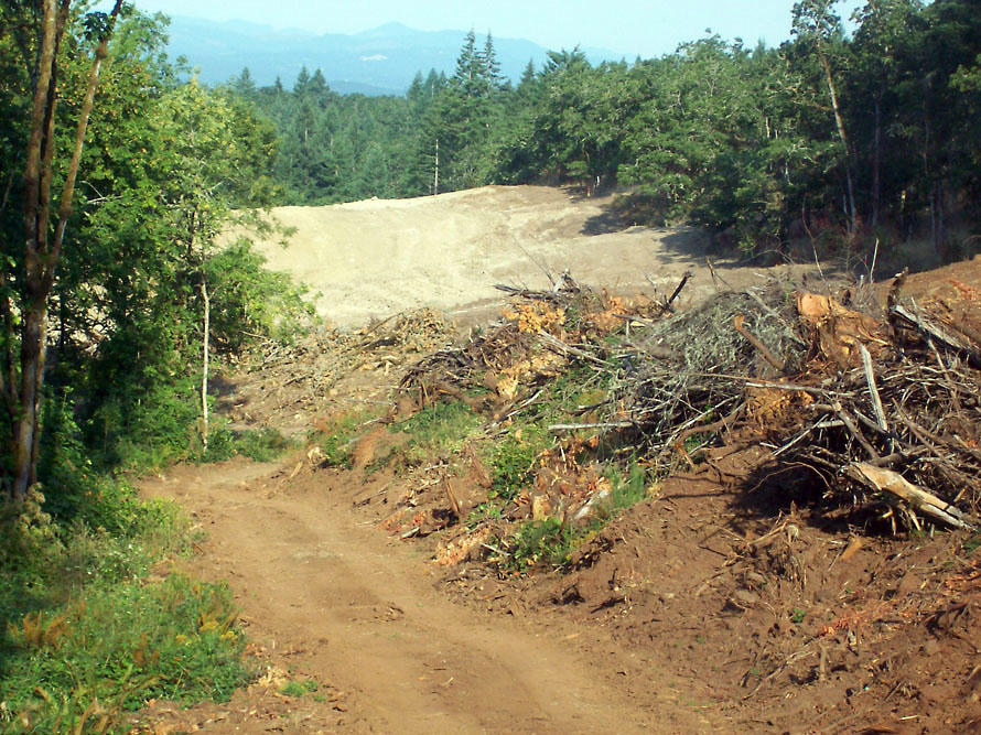 Eola Hills - Legacy Vineyard - Photo 2
