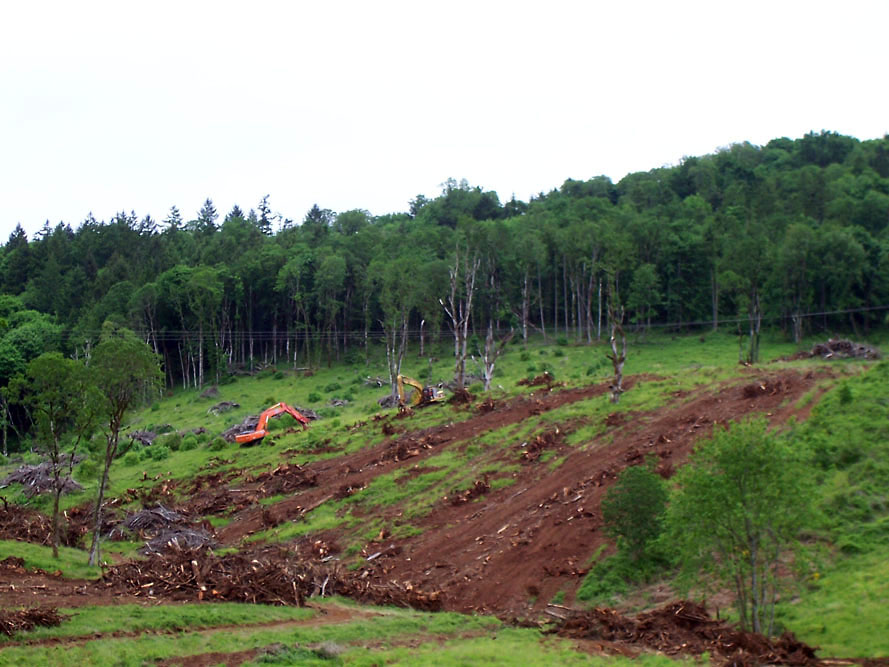 Eola Hills - Legacy Vineyard - Photo 6