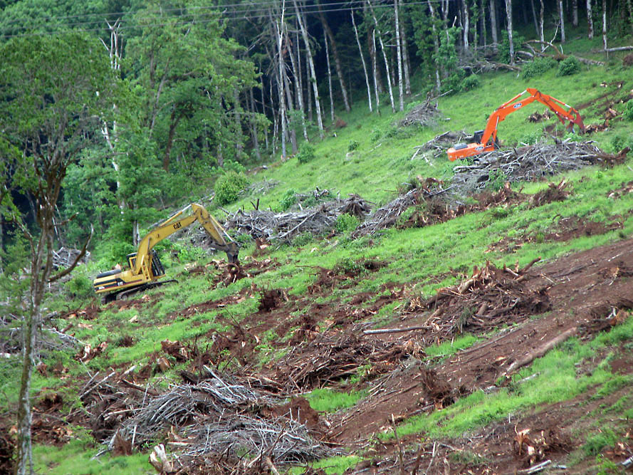 Eola Hills - Legacy Vineyard - Photo 8