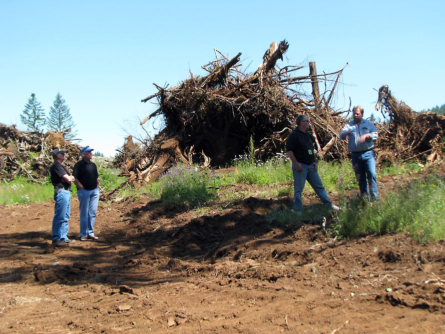 Eola Hills - Legacy Vineyard - Photo 10