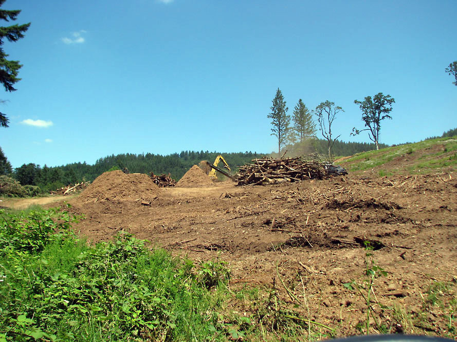 Eola Hills - Legacy Vineyard - Photo 11