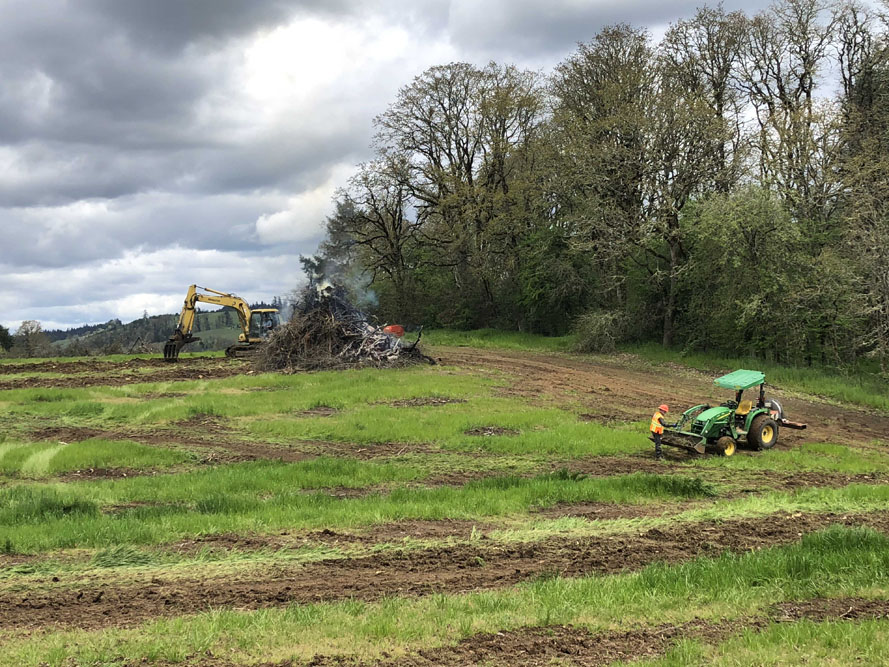 Doe Ridge Clearing - Image 9