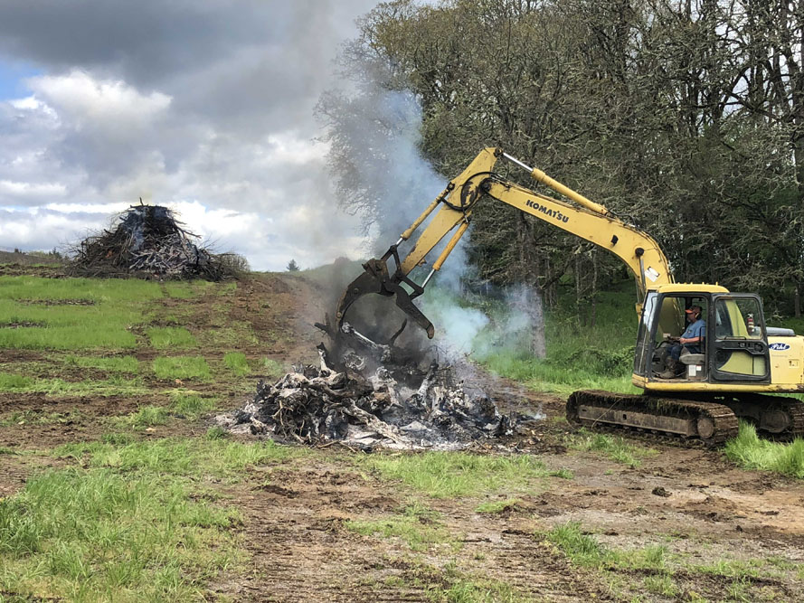 Doe Ridge Clearing - Image 8