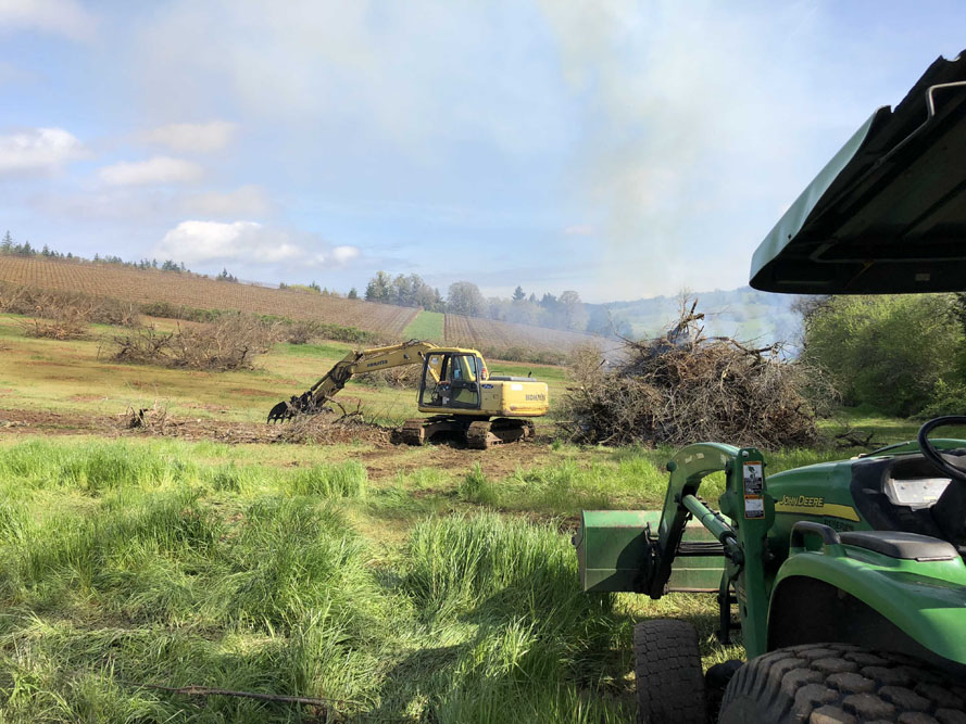 Doe Ridge Clearing - Image 12