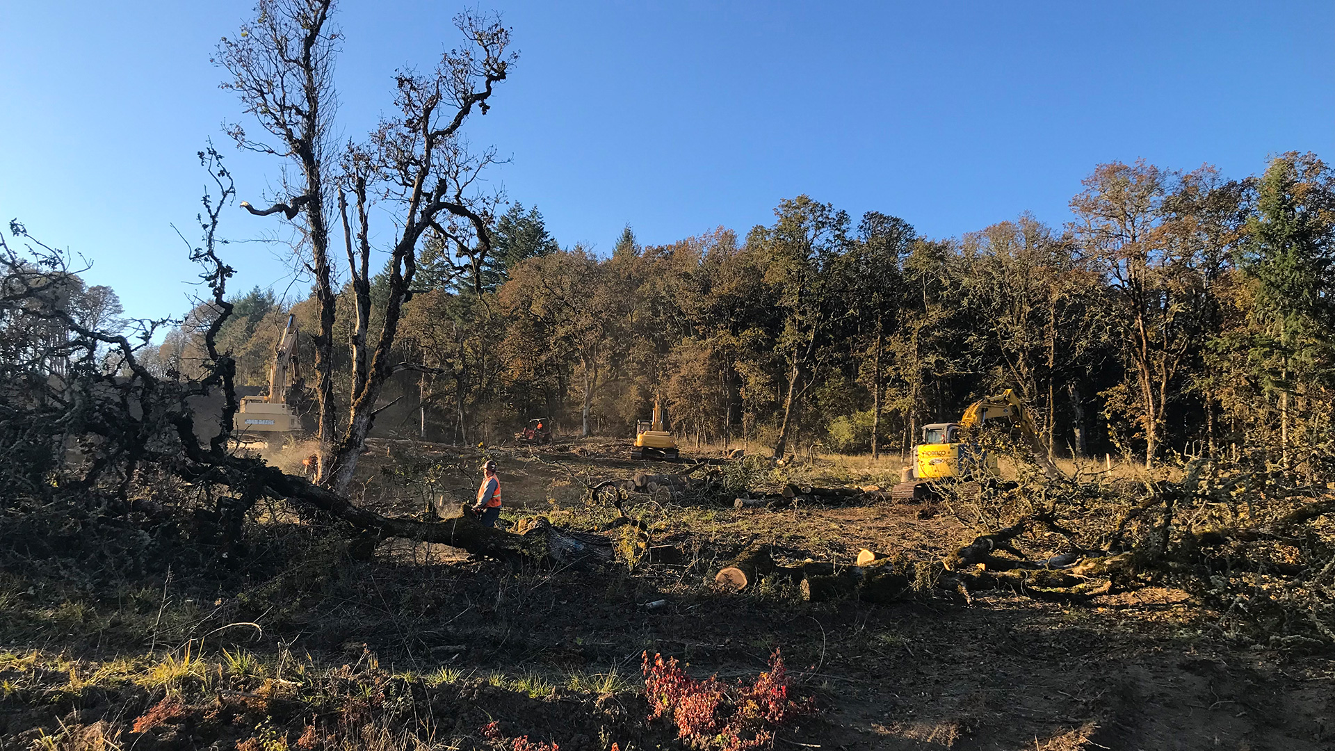 Evergreen Lodge - Slide 1