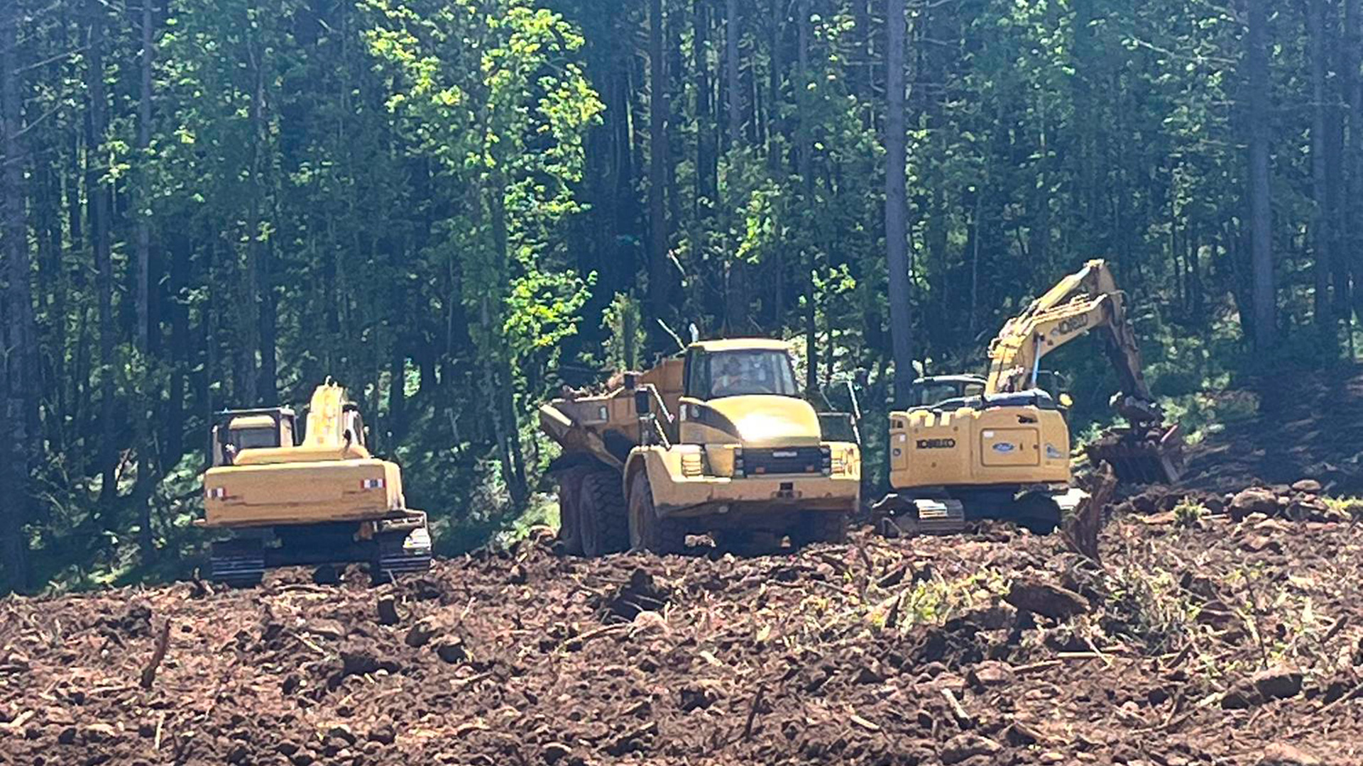 Evergreen Lodge - Slide 4