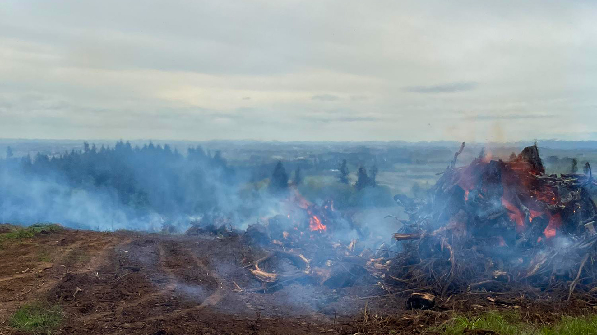 Evergreen Lodge - Slide 5