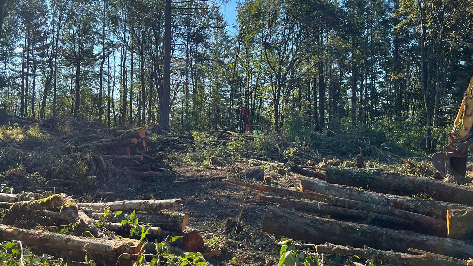 Evergreen Lodge - Slide 2