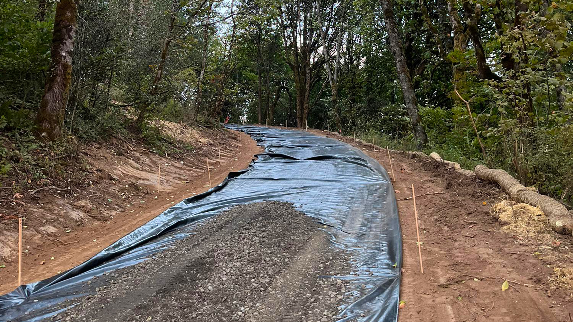 Evergreen Lodge - Slide 2