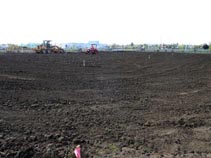 Forest Grove High School - Site work