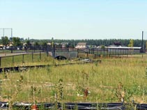 Forest Grove High School - Site work