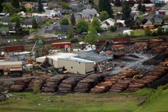 Banks Lumber - New Building