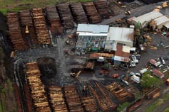 Banks Lumber - New Building