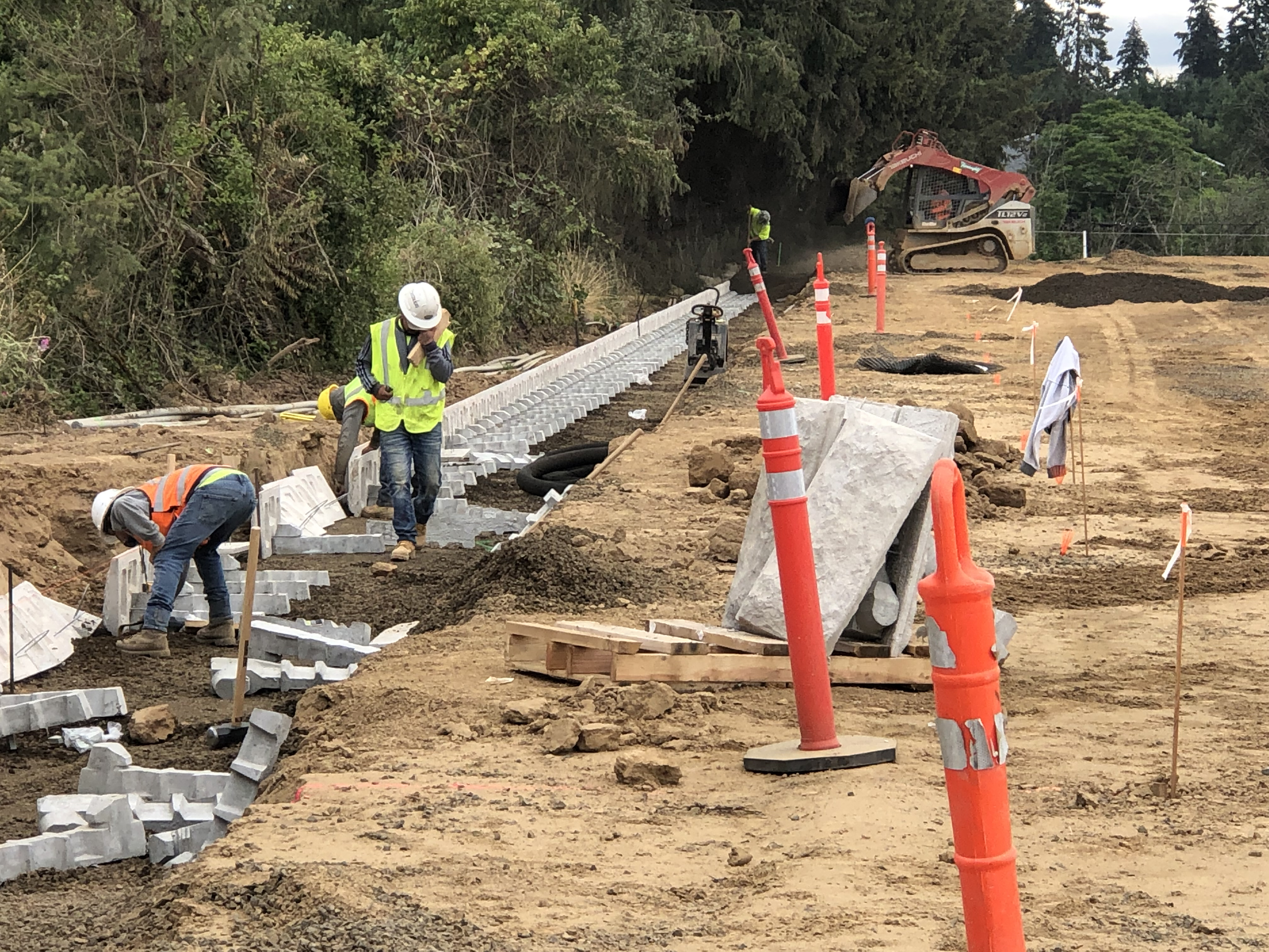 Rinchem Cornelius project view 11