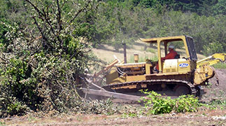 Land Clearing