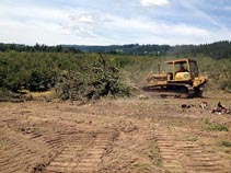 A to Z - Orchard Removal