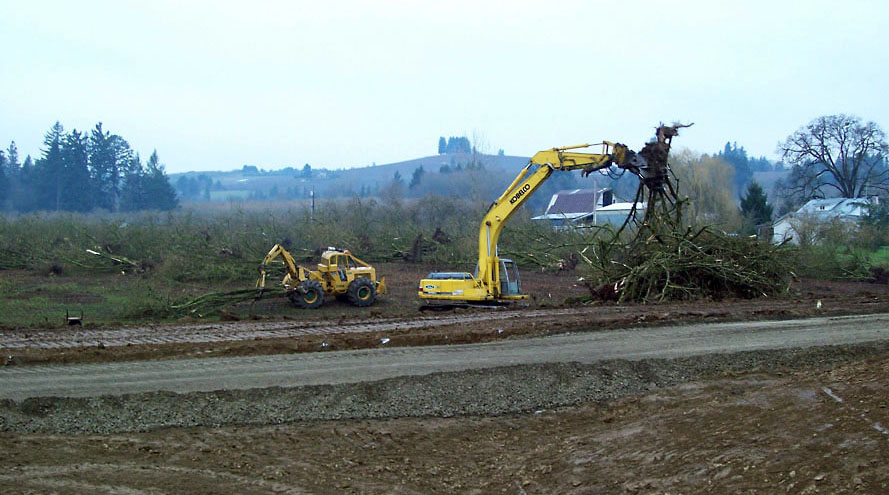 Land Clearing