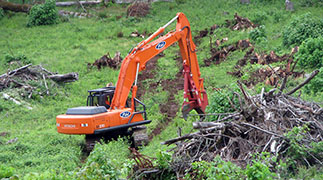 Land Clearing