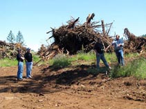 Eola Hills - Legacy Vineyard