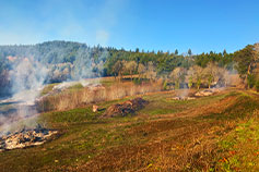 David Hill Land Clearing