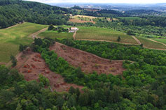 David Hill Land Clearing