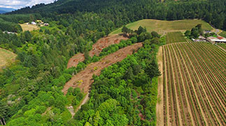 Land Clearing