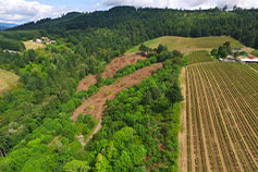 David Hill Land Clearing