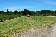 Public Coast Farm