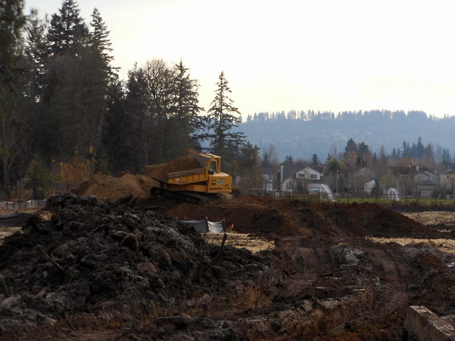 Rychlick Farm Subdivision - Image 4