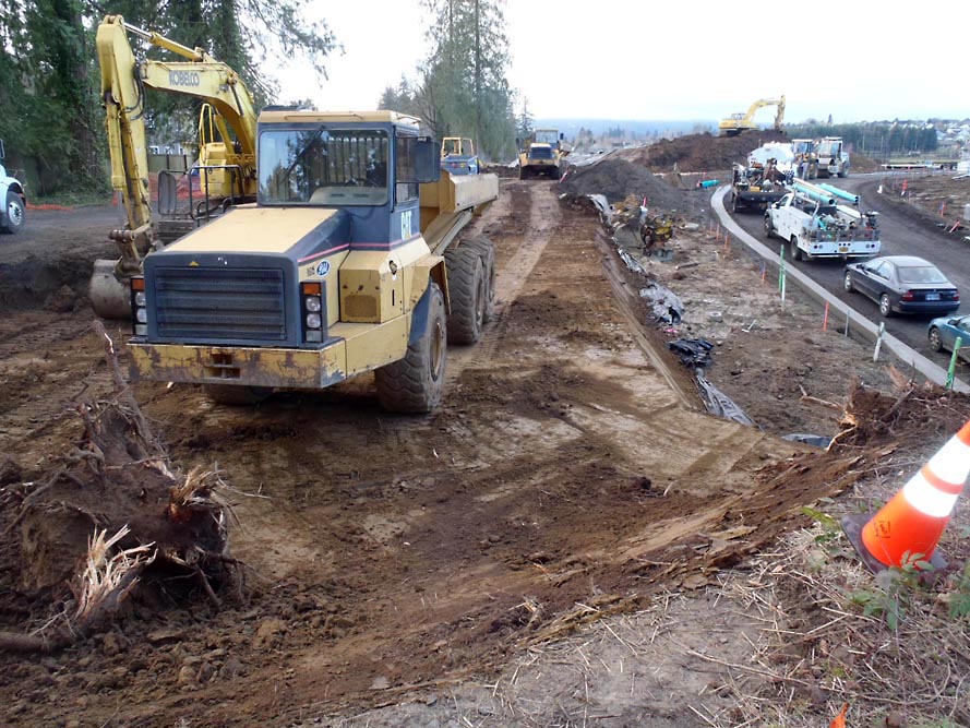 Rychlick Farm Subdivision - Image 18