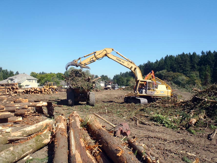 Renaissance Boat Club - Photo 7