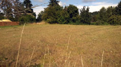 Ashwood Subdivision