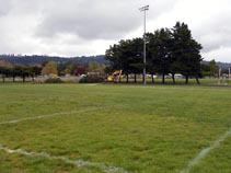 Newberg High School - Track and Field