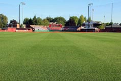 Linfield College - New Outfield for Baseball Field