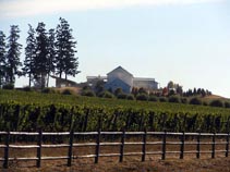 Stoller Vineyards