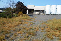 12th and Maple Wine Building