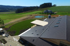 Abbey Road Farm