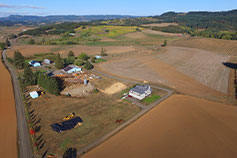 Abbey Road Farm