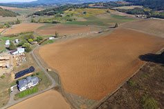 Abbey Road Farm